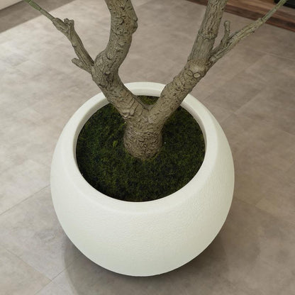 Lifelike Potted Olive Decor Tree